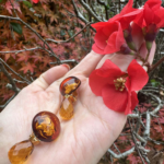 4555DD56-5E5C-4E81-93C2-B1683EE58EF7